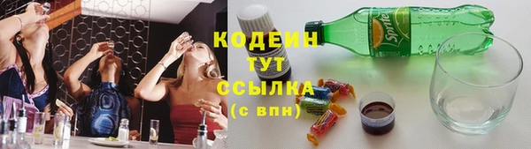 apvp Вяземский