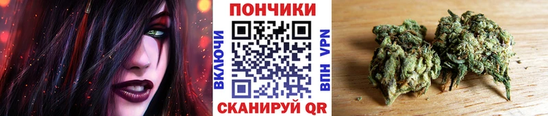 Шишки марихуана OG Kush  купить  сайты  мега сайт  Кяхта 